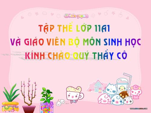 Bài 22. Ôn tập chương I