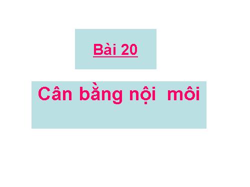 Bài 20. Cân bằng nội môi