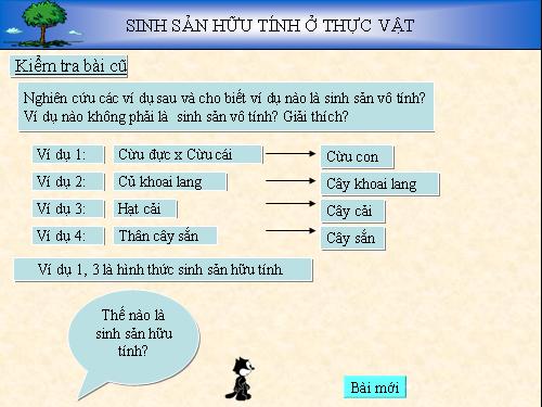 Bài 42. Sinh sản hữu tính ở thực vật