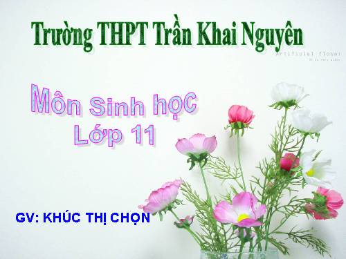 Bài 8. Quang hợp ở thực vật