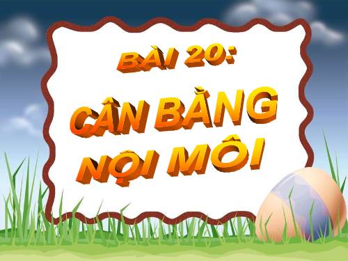 Bài 20. Cân bằng nội môi