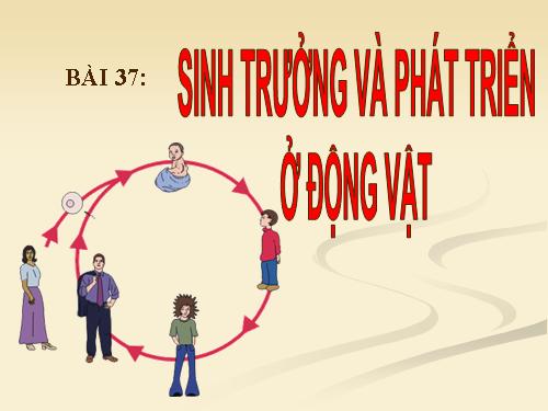 Bài 37. Sinh trưởng và phát triển ở động vật