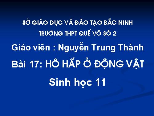 Bài 17. Hô hấp ở động vật