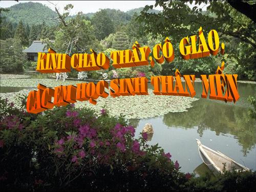 Bài 8. Quang hợp ở thực vật