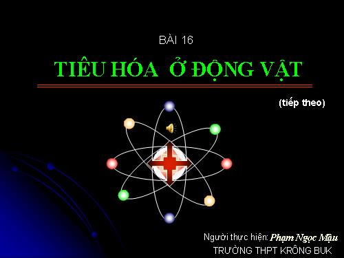 Bài 16. Tiêu hoá ở động vật (tiếp theo)