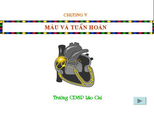 Bài 18. Tuần hoàn máu