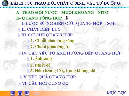 Bài 8: Quang hợp ở thực vật