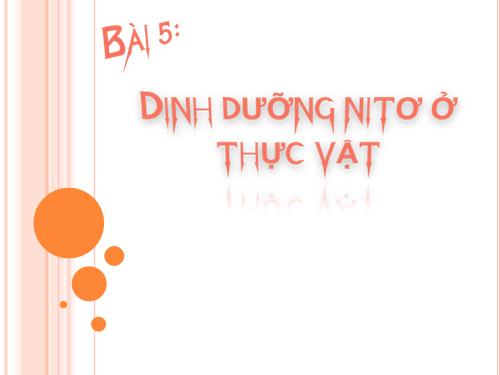 Bài 5. Dinh dưỡng nitơ ở thực vật