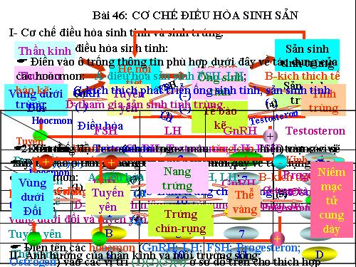 Bài 46. Cơ chế điều hòa sinh sản