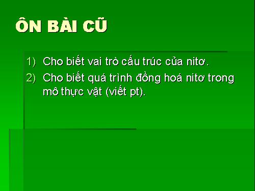 Bài 6. Dinh dưỡng nitơ ở thực vật (tiếp theo)