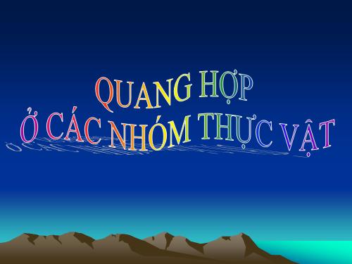 Bài 9. Quang hợp ở các nhóm thực vật C3, C4 và CAM