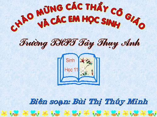 Bài 15. Tiêu hoá ở động vật