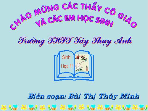 Bài 26. Cảm ứng ở động vật