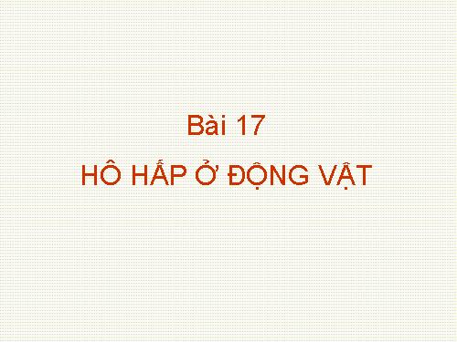 Bài 17. Hô hấp ở động vật