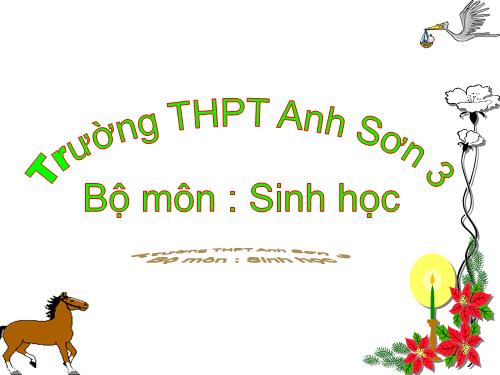 Bài 20. Cân bằng nội môi