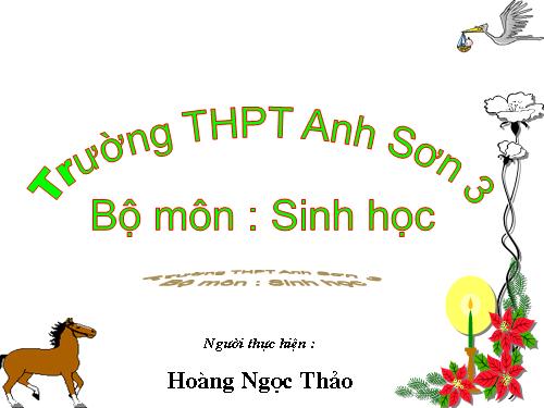 Bài 19. Tuần hoàn máu (tiếp theo)