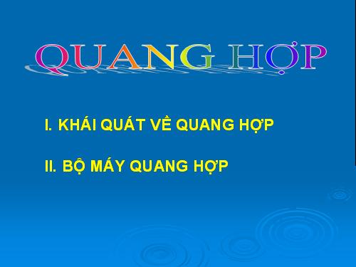 Bài 11. Quang hợp và năng suất cây trồng