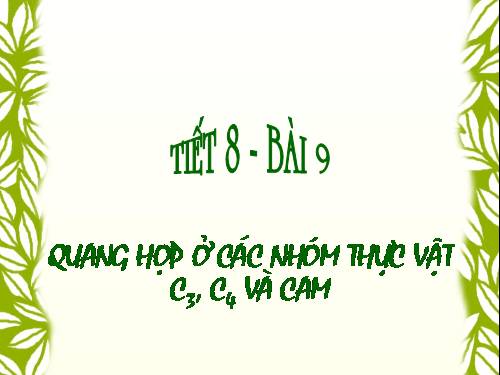 Bài 9. Quang hợp ở các nhóm thực vật C3, C4 và CAM