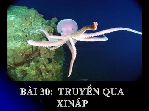 Bài 30. Truyền tin qua xináp