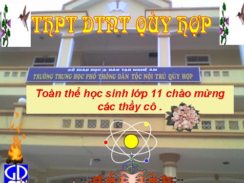 Bài 31. Tập tính của động vật