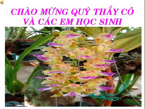 Bài 37. Sinh trưởng và phát triển ở động vật