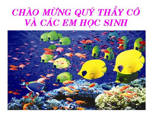 Bài 34. Sinh trưởng ở thực vật