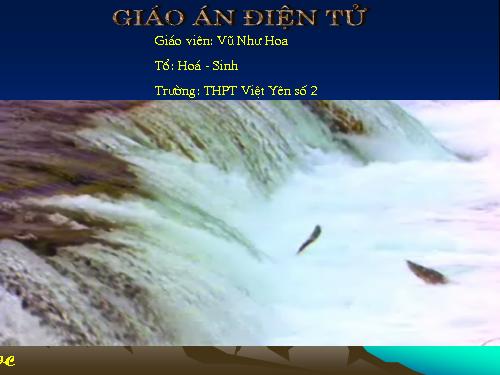 Bài 18. Tuần hoàn máu