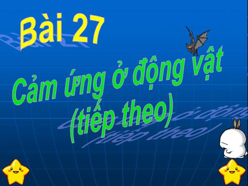 Bài 27. Cảm ứng ở động vật (tiếp theo)