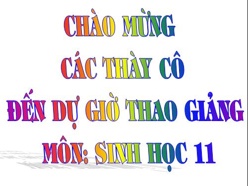 Bài 26. Cảm ứng ở động vật