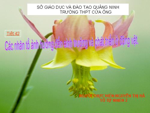 Bài 39. Các nhân tố ảnh hưởng đến sinh trưởng và phát triển ở động vật (tiếp theo)