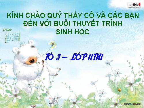 Bài 46. Cơ chế điều hòa sinh sản