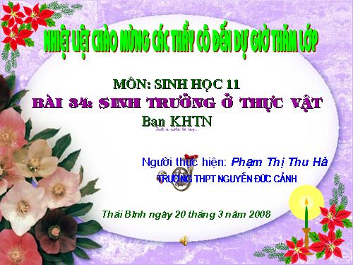 Bài 34. Sinh trưởng ở thực vật