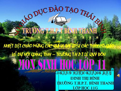 Bài 34. Sinh trưởng ở thực vật