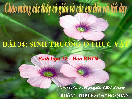 Bài 34. Sinh trưởng ở thực vật