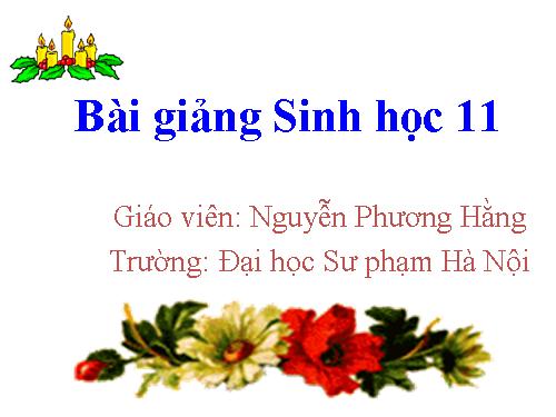 Bài 41. Sinh sản vô tính ở thực vật