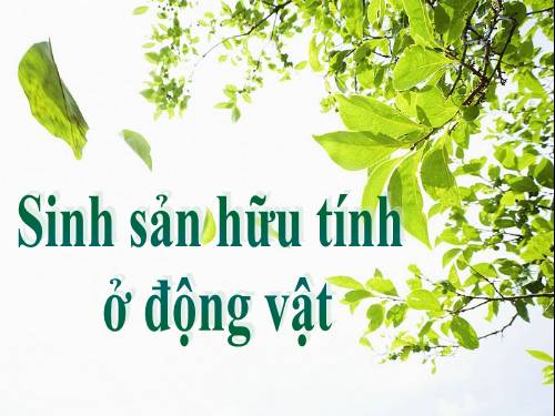 Bài 45. Sinh sản hữu tính ở động vật