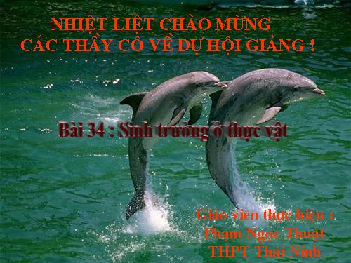 Bài 34. Sinh trưởng ở thực vật