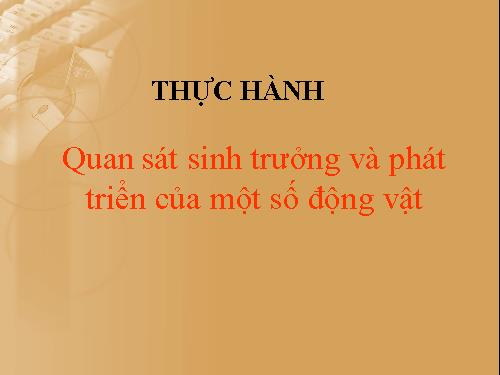 Bài 40. Thực hành: Xem phim về sinh trưởng và phát triển ở động vật