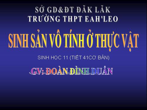 Bài 41. Sinh sản vô tính ở thực vật