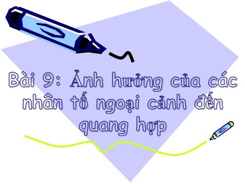 Bài 10. Ảnh hưởng của các nhân tố ngoại cảnh đến quang hợp