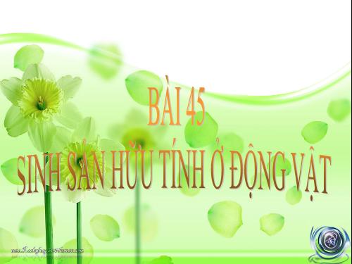 Bài 45. Sinh sản hữu tính ở động vật