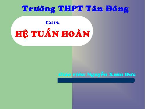 hệ tuần hoàn