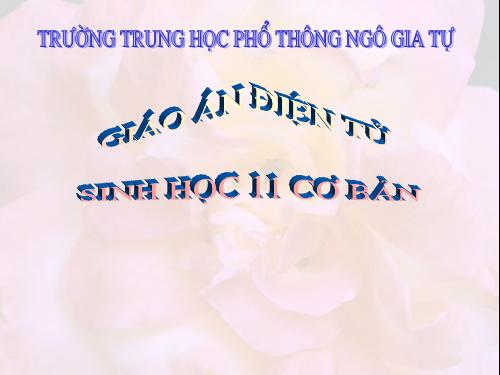 Bài 4. Vai trò của các nguyên tố khoáng