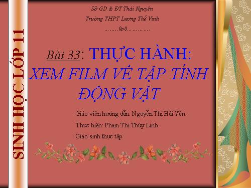 Bài 33. Thực hành: Xem phim về tập tính của động vật