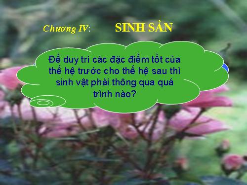 Bài 41. Sinh sản vô tính ở thực vật