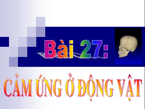 Bài 27. Cảm ứng ở động vật (tiếp theo)