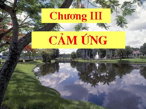 Bài 23. Hướng động