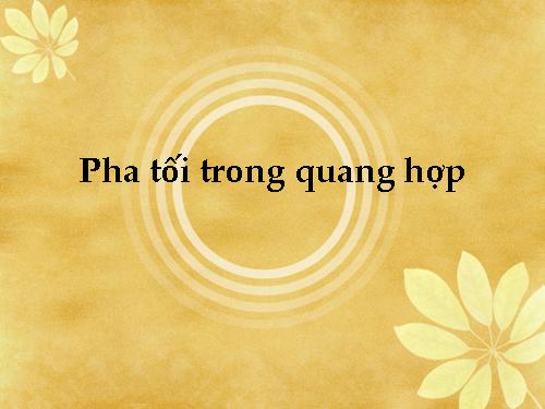 Pha toi trong quang hop