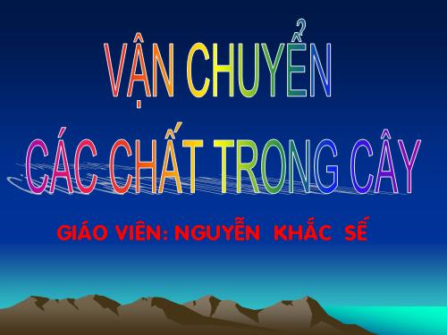 Bài 2. Vận chuyển các chất trong cây