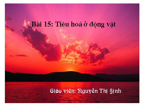 Bài 15. Tiêu hoá ở động vật